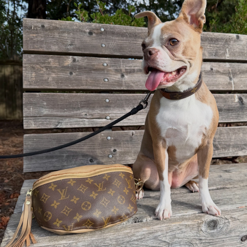 Posh Pet Collar - Upcycled Monogram