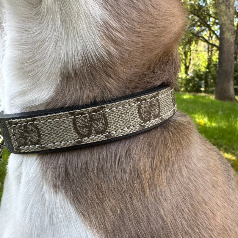 Posh Pet Collar - Upcycled Interlock