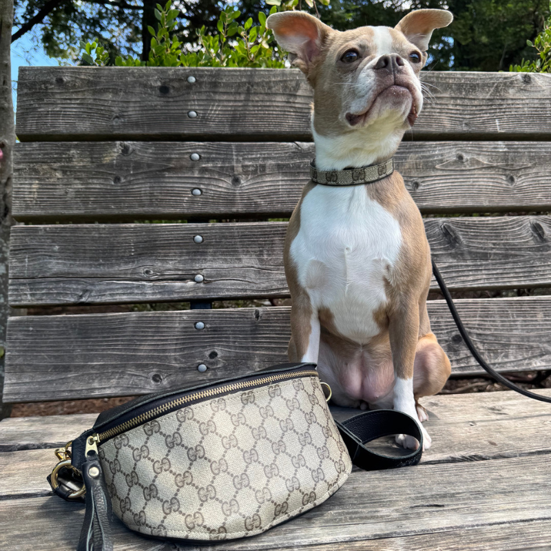 Posh Pet Collar - Upcycled Interlock